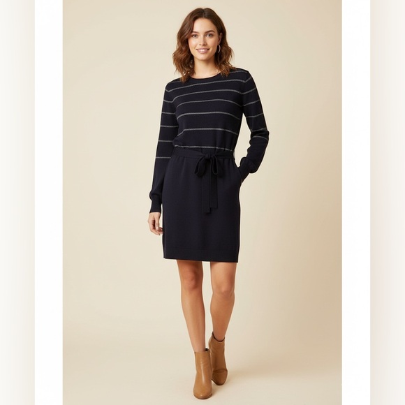 Theory Dresses & Skirts - Theory Wool Blend Milly New Steady Stripe Tie Waist Fit n Flare Sweater Dress- M